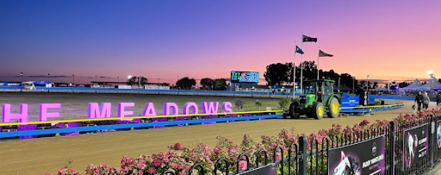 Melbourne Greyhounds - The Meadows (MGRA)