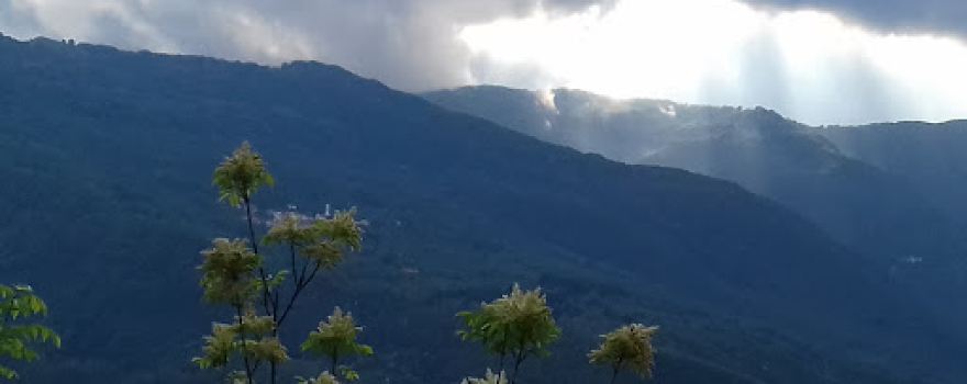 Area sportiva e per le feste di Pietranera