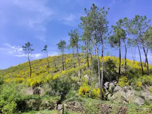 Passadiços do Orvalho