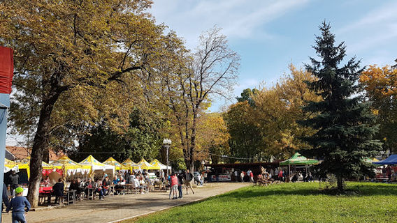 Nicolae Bălcescu Park (formerly Rhédey Garden)
