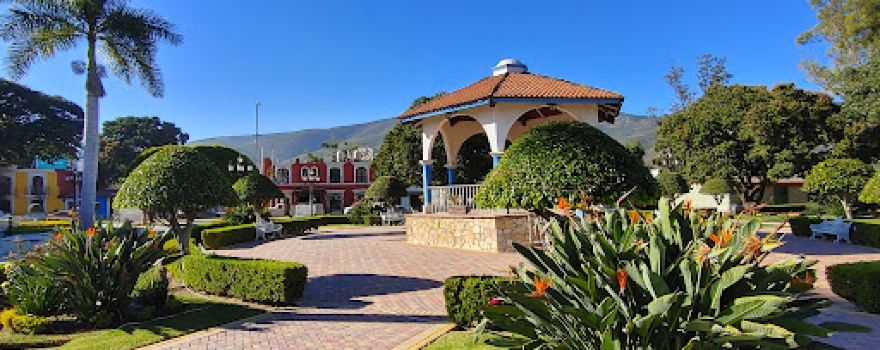 Santa María del Tule