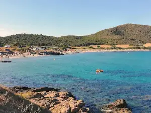 Camping de la Plage U Stazzu
