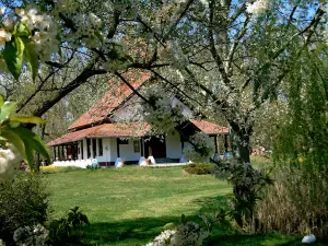 Nandafalva Hindu Templom