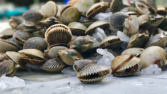 Hernando Beach