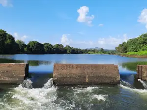 Tilase Picnic Spot-Shiv Temple & Fish