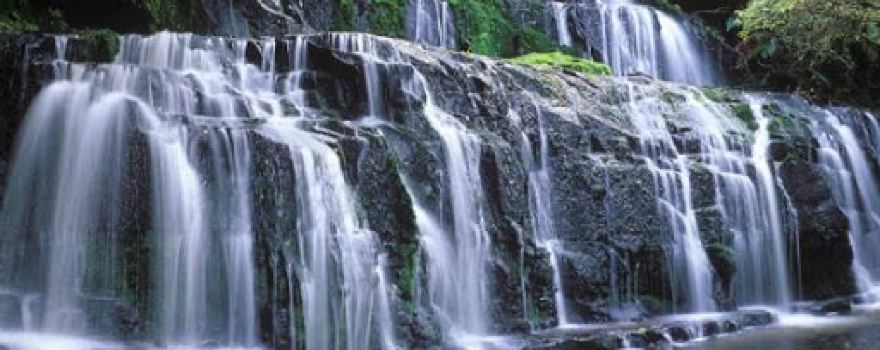 Catlins - Newhaven Holiday Park, Surat Bay