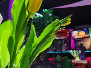 LEMON Nightclub & Cafe - Tukums
