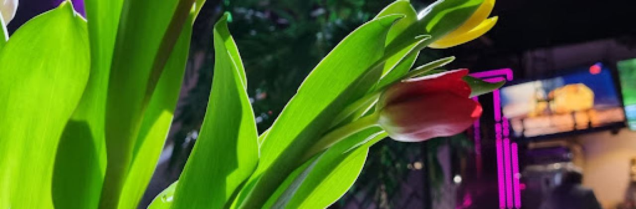 LEMON Nightclub & Cafe - Tukums