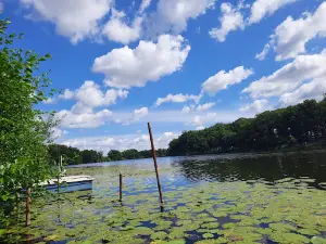 Campingplatz "Am Schönfelder See"