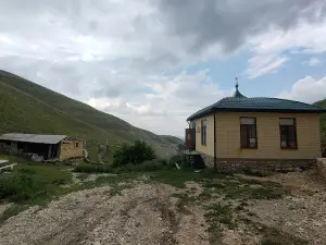 Ziyarat Velikogo Sheykha
