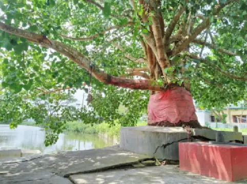 Kamaleshwari Kali Temple