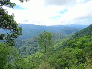 হাজাছড়া হাফং (Hajachora Haphong)