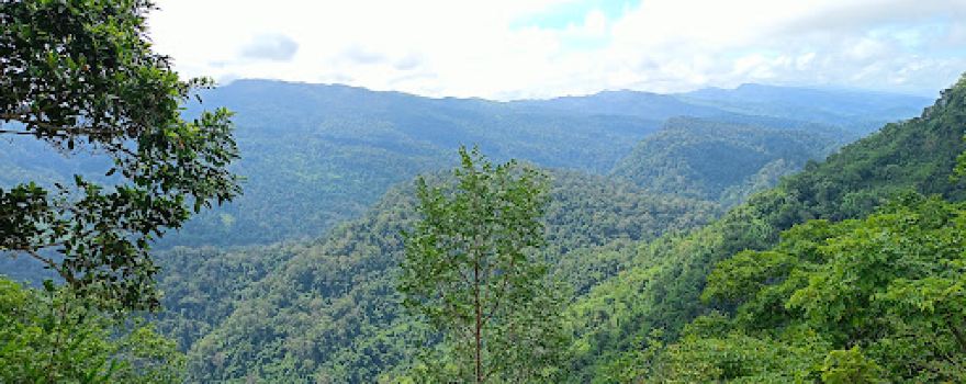 হাজাছড়া হাফং (Hajachora Haphong)