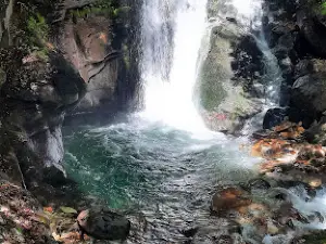 Izvorot na reka Treska