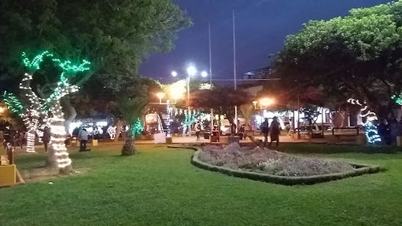 Eduardo Perez Plaza Gamboa