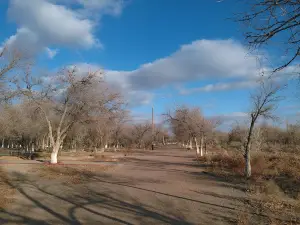 Park Mira