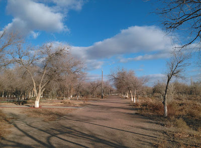 Park Mira