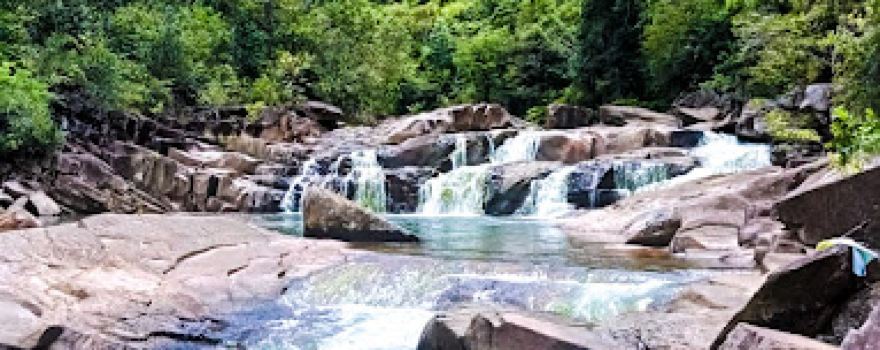 Trilha do Ingapirá