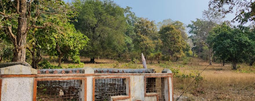 Chota Mahadev, Gaimukh