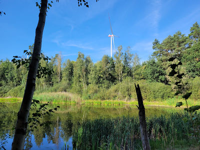 Biegener Hellen