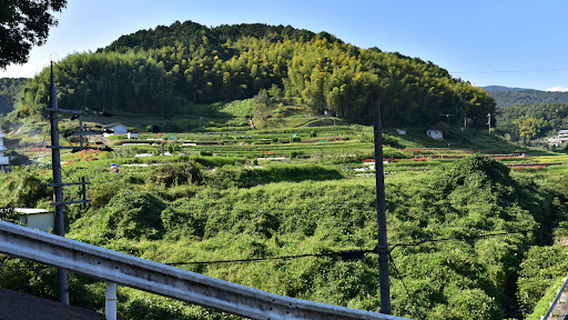 Ikomayamaguchi Shrine