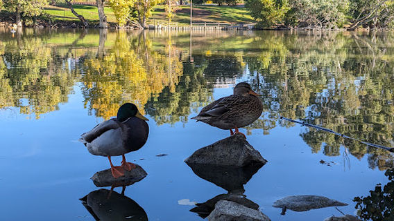 Ellis Lake Park