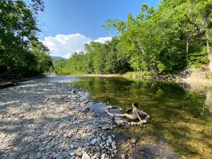 Seneca Shadows Campground