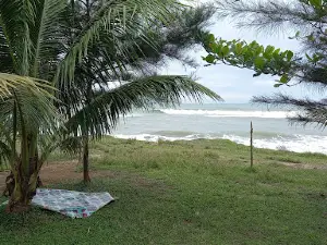 Pantai coconut beach / wisata Tsm