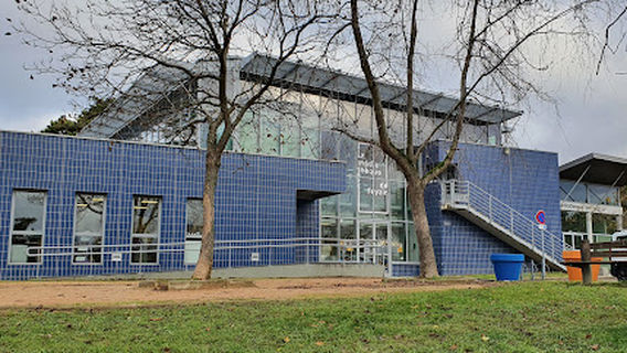 Feyzin