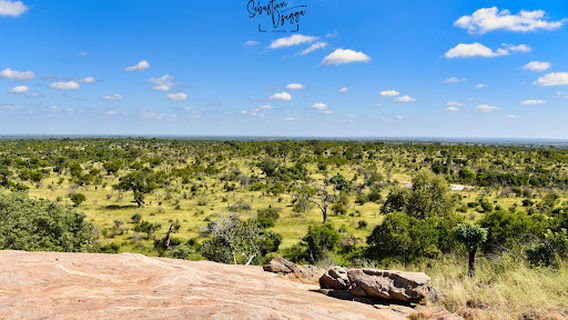 Mathekenyane Hill (Koppie) View Point