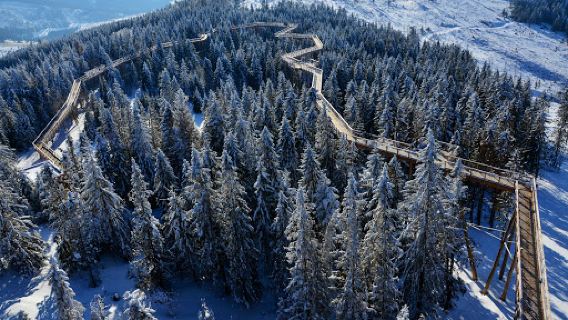 Treetop Walk Bachledka
