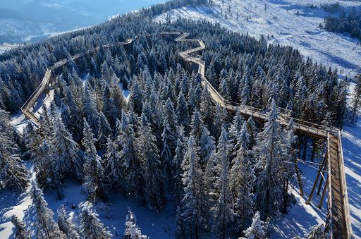 Treetop Walk Bachledka