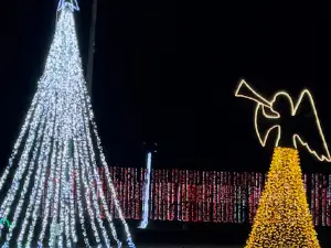 Thriller Night in Lights (Halloween drive-through light show)