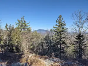 Rhododendron State Park