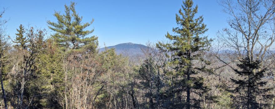 Rhododendron State Park