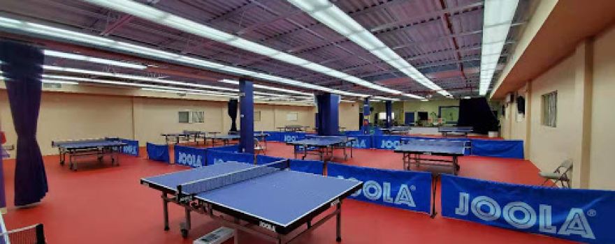 Lily Yip Table Tennis Center LLC