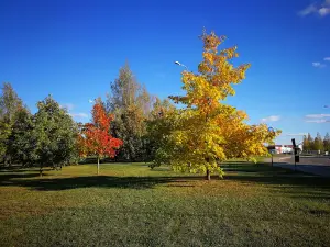 Kupa River Park