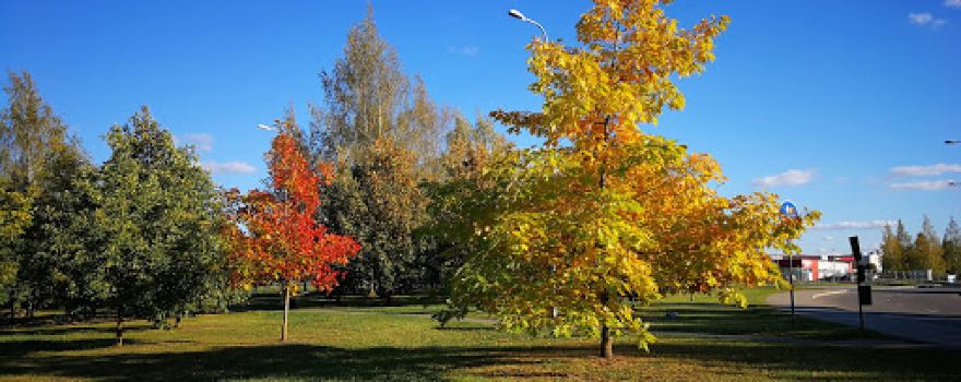 Kupa River Park