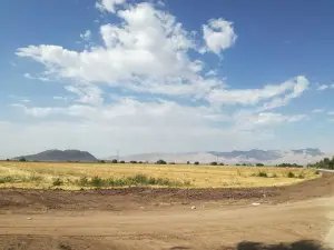 Campo De Beisbol