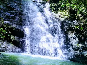 Peradayan Forest Reserve