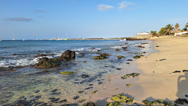 TAO.CV - Healing Tao, QiGong, & Wellbeing