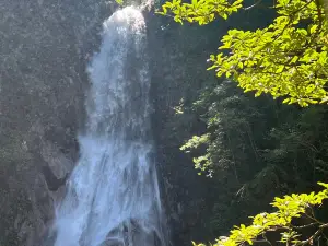 Shennong Valley National Forest Park