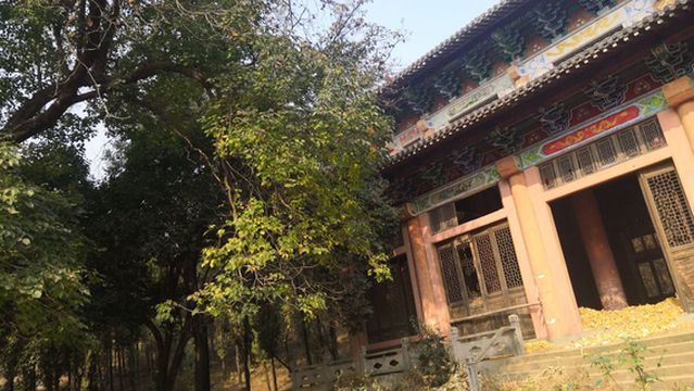 Zhentou Temple