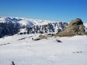 Sphinx