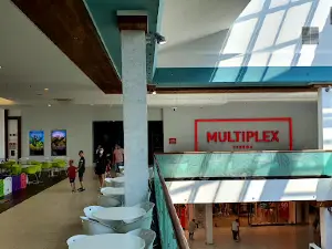 Multiplex Prospect