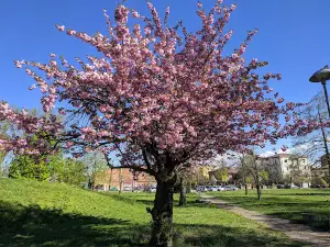 Parco Giovanni Amendola