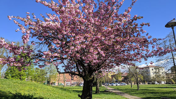 Parco Giovanni Amendola