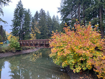 Lacamas Park