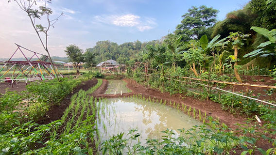 Kampung Konservasi RIMBUN