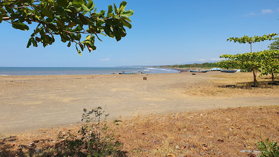 Tárcoles